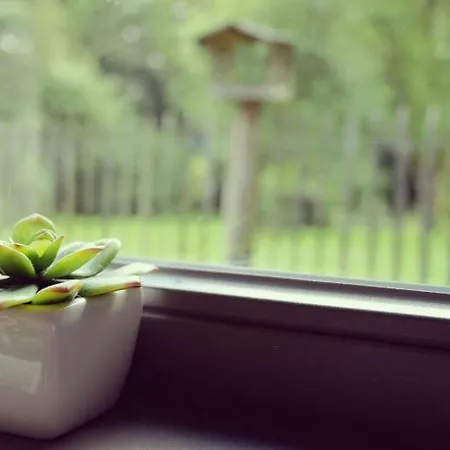 La Brindille * Durbuy