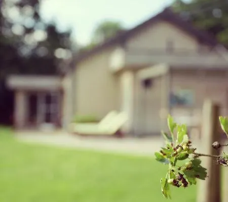 La Brindille Tatil Evi Durbuy